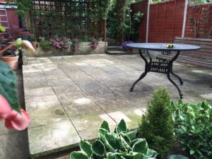 paved and planted garden - before