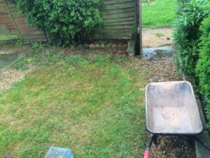 garden with patchy lawn - before