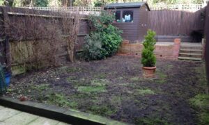 dirt garden with patches of grass - before