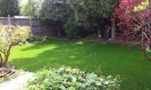 garden with trees - after
