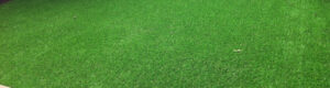 artificial grass banner