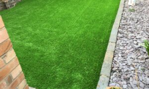rear garden with block paving - after