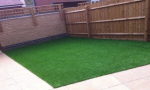 simple garden with dry and dead lawn - after