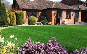 sunny garden with artificial grass